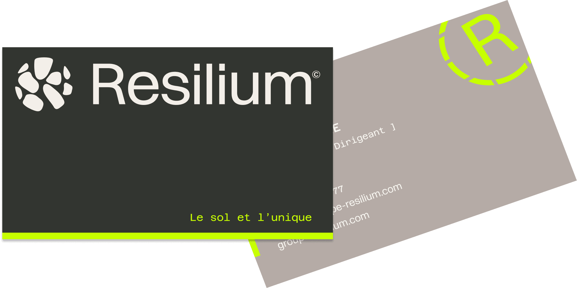 Cartes de visites Resilium